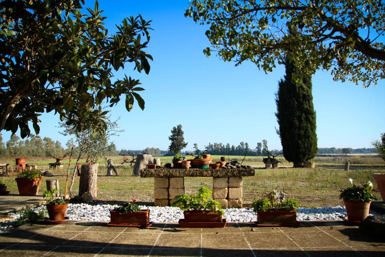 הוילה קסטלנטה מרינה Maison Catalano מראה חיצוני תמונה